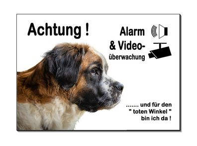 Bernhardiner Hund Alu Schild 3 Größen Türschild Alarm Video Warnschild Hinweis