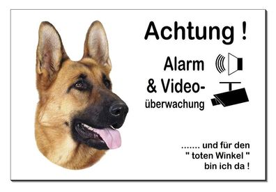 Schäferhund Hund Aluminium Schild 3 Größen Türschild Warnschild Hundeschild