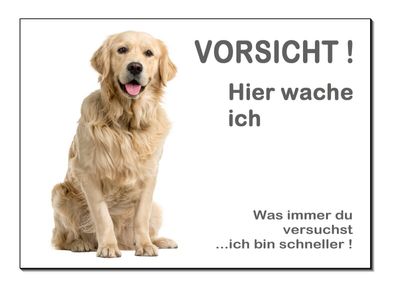 Golden Retriever Hund Alu Schild 30 x 20 cm Türschild Hinweis Warnschild TOP