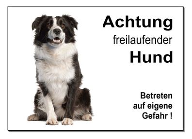 Freilaufender Border Collie Hund Alu Schild 30x20cm Türschild Hinweis Warnschild