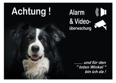 Border Collie Hund Alu Alarm+Video Schild 3 Größen Türschild Warnschild Hinweis