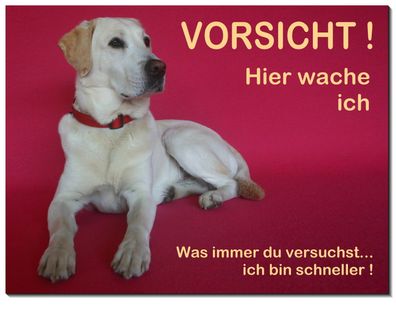 Golden Retriever Hund Alu Schild 3 Größen Türschild Warnschild Hundeschild TOP