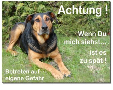 Mischling Hund Aluminium Schild 3 Größen Türschild Warnschild Hundeschild TOP