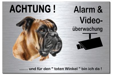 Boxer Hund Alu Edelstahl Optik 20 x15 oder 30x20 cm Alarm Video Schild