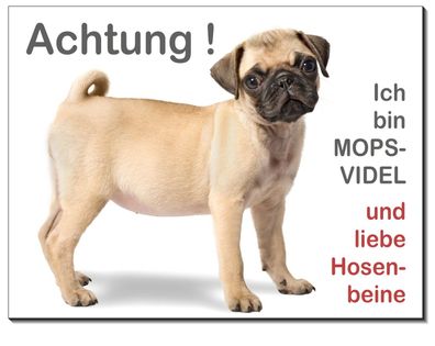 Mops Hund Aluminium Schild 3 Größen Türschild Warnschild Hundeschild TOP