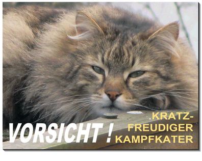 Langhaarkatze Katze Alu Schild 3 Größen Türschild Warnschild Hundeschild TOP