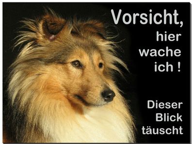 Collie Hund Alu Schild 3 Größen lieferbar Türschild Warnschild Hundeschild TOP