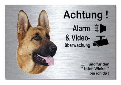 Schäferhund Hund Alarm Video 30 x 20 cm Alu Edelstahl Optik Schild Warnschild