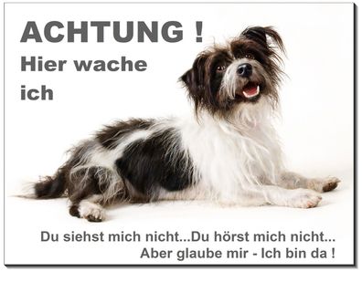 Terrier Hund Alu Schild 15x10 oder 20x15 cm Türschild Warnschild Hundeschild TOP