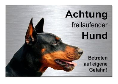 Freilaufender Dobermann 20x15 + 30x20cm Alu Edelstahl Optik Schild Warnschild Hund