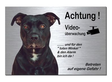 Pitbull Hund Video Überwachung 2 Größen Alu Edelstahl Optik Schild Warnschild