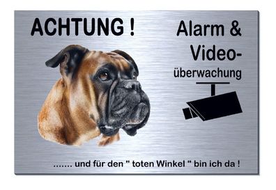 Boxer Hund Alarm Video 300 x 200 x 3 mm Alu Edelstahl Optik Schild Warnschild