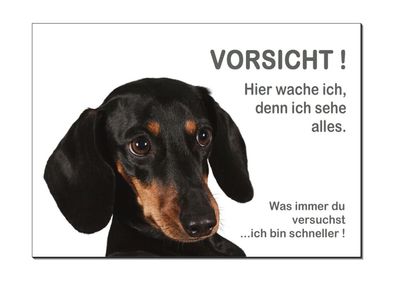 Dackel Hund Alu Schild 300 x 200 x 3 mm Türschild Warnschild Hundeschild TOP