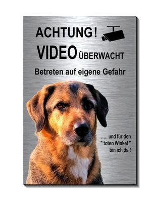 Hund Aluminium Edelstahl Optik 15 x 10 cm Hunde Video Schild Warnschild