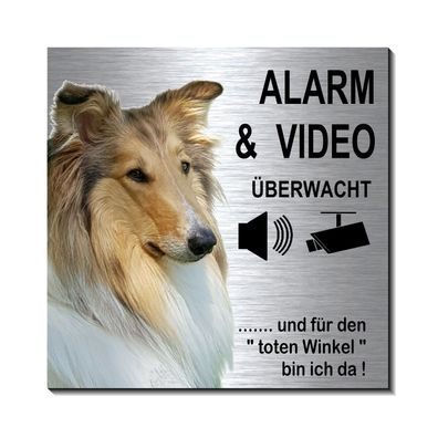 Collie Alarm+Video Alu Edelst. Optik 10 x10 cm Türschild Schild selbstkl. TOP