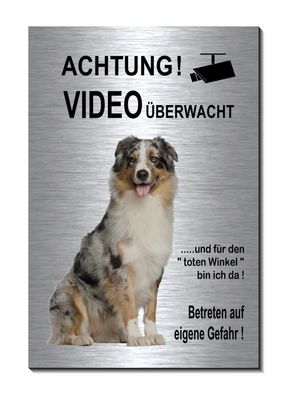 Australian Shepherd Alu Edelstahl Optik 15 x 10 cm Hunde Video Schild Warnschild