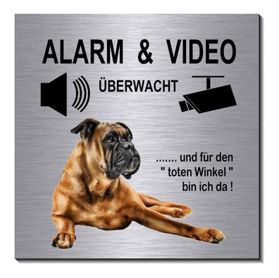 Boxer Alarm+Video Alu Edelst. Optik 10 x10 cm Türschild Schild selbstkl. TOP