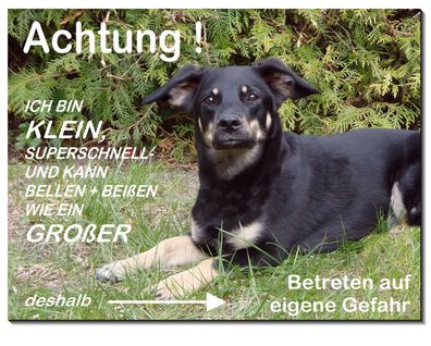 Mischling Hund Alu Schild 15x10 oder 20x15 cm Türschild Warnschild Hundeschild