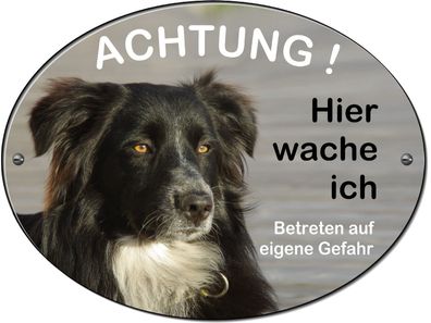 Border Collie Hund Alu Schild 20x15 cm 3 mm dick od Folie Warnschild Hundeschild