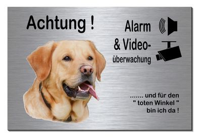 Labrador Hund Alarm Video 300x200 x 3 mm Alu Edelstahl Optik Schild Warnschild