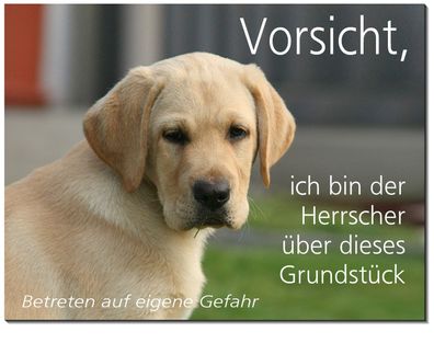 Labrador Hund Aluminium Schild 3 Größen Türschild Warnschild Hundeschild TOP