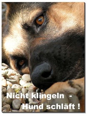 Schäferhund Hund Alu Schild 15x10 oder 20x15 cm Türschild Warnschild Hundeschild