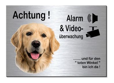 Retriever Hund Video Überwachung 30 x 20cm Alu Edelstahl Optik Schild Warnschild