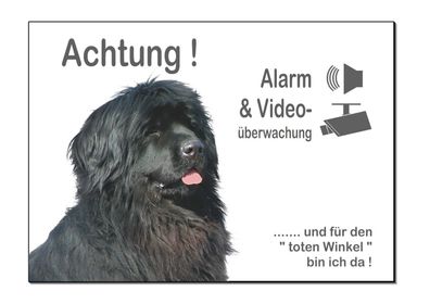 Neufundländer Hund Aluminium Alarm+Video Schild 30 x 20 cm Türschild Warnschild