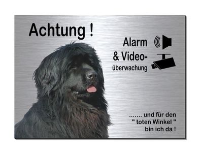 Neufundländer Hund Alarm Video 30 x 20 cm Alu Edelstahl Optik Schild Warnschild