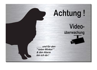 Retriever Hund Video Überwacht 30 x 20 cm Alu Edelstahl Optik Schild Warnschild