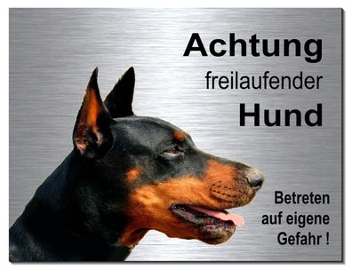 Dobermann Freilaufender Hund 20x15 cm Alu Edelstahl Optik Schild Warnschild TOP