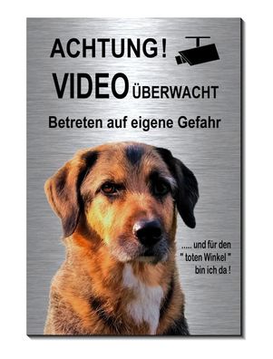 Hund Mischling Alu Edelstahl Optik 15 x 10 cm Hunde Video Schild Warnschild