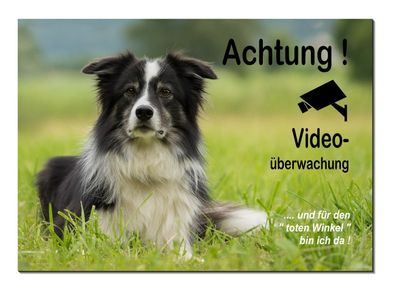 Border Collie Hund Alu Schild 3Größen lieferbar Türschild Warnschild Hundeschild