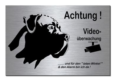 Hund Cane Corso Video 300x200 x 3 mm Alu Edelstahl Optik Schild Warnschild