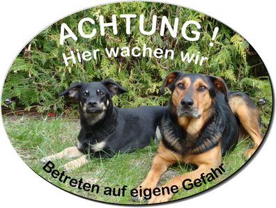 Mischling Hund Alu Schild 20 x 15 cm 3 mm dick od. Folie Warnschild Hundeschild