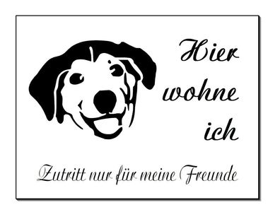 Niedlicher Hund Aluminium Schild 3 mm dick Türschild Warnschild Hundeschild TOP