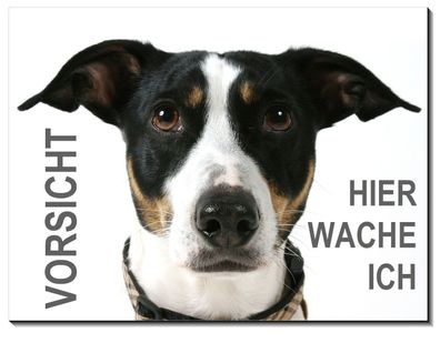 Jack Russel Terrier Hund Alu Schild 3 Größen Türschild Warnschild Hundeschild