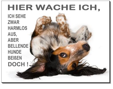 Setter Hund Aluminium Schild 3 Größen3 mm dick Türschild Warnschild Hundeschild