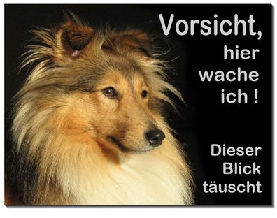 Collie Hund Aluminium Schild 3 Größen 3 mm dick Türschild Warnschild Hundeschild