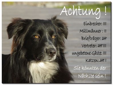 Border Collie Hund Alu Schild 15x10 bis 30 x20 cm Warnschild Hinweis Hundeschild