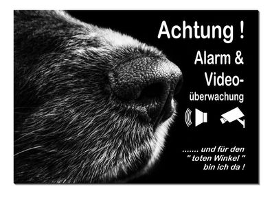 Hundenase Hundeschnauze Alarm Video Hund Alu Schild 30 x 20 cm Warnschild TOP