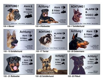 Hunde Alarm Video Schilder 30 x 20 cm Alu Edelstahl Optik Hund Schild Warnschild