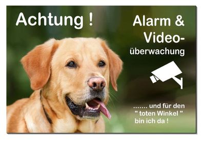 Retriever Hund Alu Schild 3 Größen Türschild Alarm Video Warnschild TOP