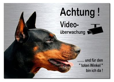 Dobermann Hund Video 30 x 20 cm Alu Edelstahl Optik Schild Warnschild