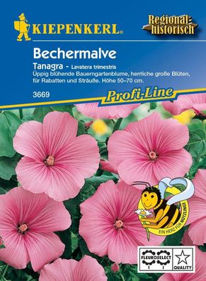 Bechermalve Tanagra Rosa, üppig blühende Bauerngartenblume, Nektarspender,