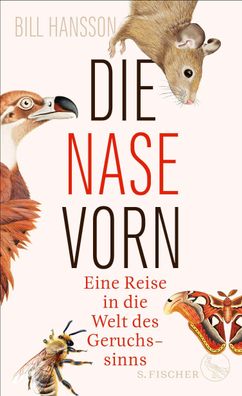 Die Nase vorn, Bill Hansson