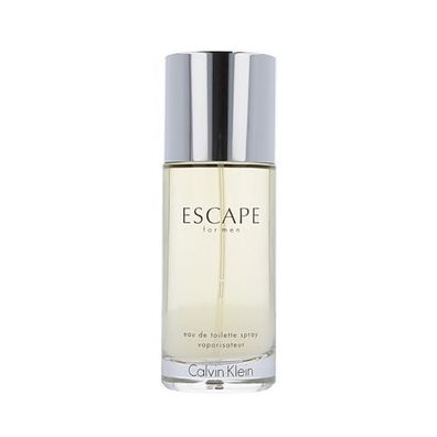 Calvin Klein Escape für Herren, 100ml Eau de Toilette