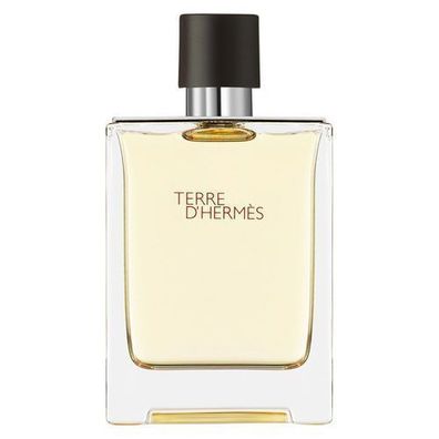 Hermes Terre D'Hermes Eau de Toilette, 100 ml