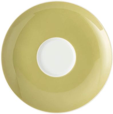 Thomas Vorteilset 2 Stück Sunny Day Avocado Green Kaffee-Untertasse 10850-408548-1