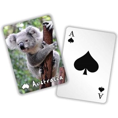 Spielkarten Australien 'Koala Design' 1 Set